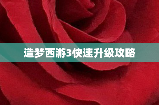 造梦西游3快速升级攻略