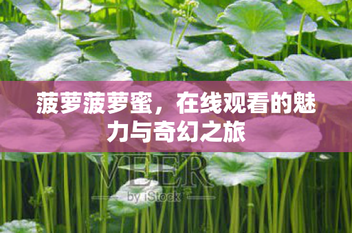 菠萝菠萝蜜，在线观看的魅力与奇幻之旅