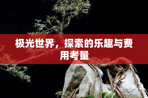 极光世界，探索的乐趣与费用考量