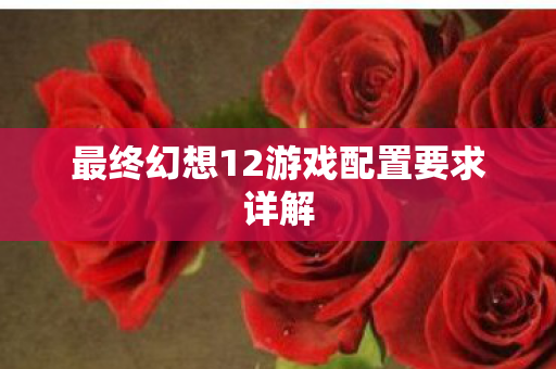 最终幻想12游戏配置要求详解