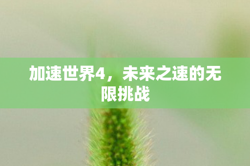 加速世界4，未来之速的无限挑战