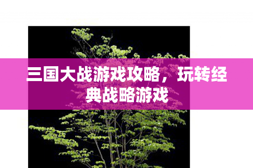 三国大战游戏攻略，玩转经典战略游戏