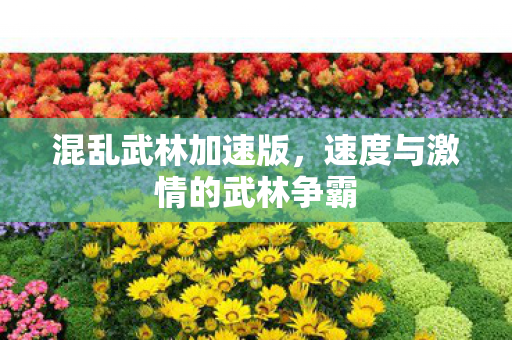 混乱武林加速版，速度与激情的武林争霸