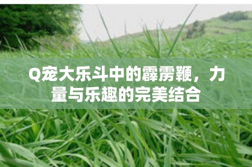 Q宠大乐斗中的霹雳鞭，力量与乐趣的完美结合