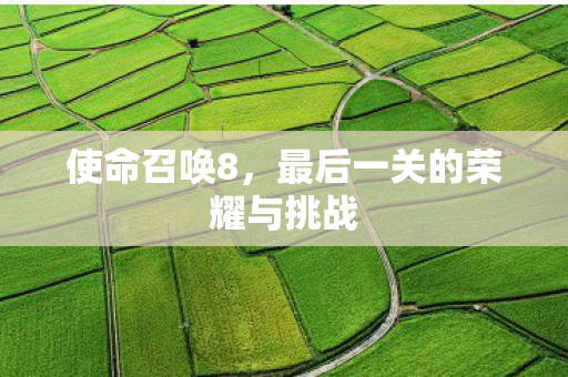 使命召唤8，最后一关的荣耀与挑战