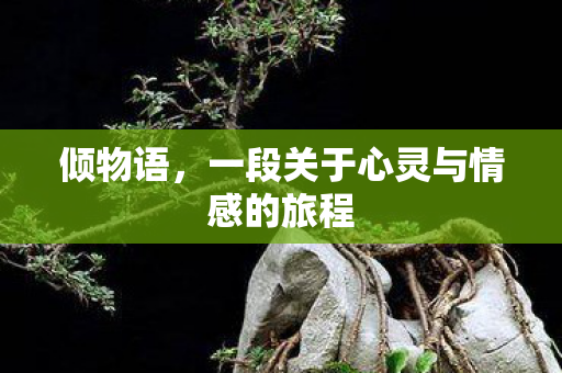 倾物语，一段关于心灵与情感的旅程