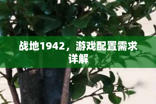 战地1942，游戏配置需求详解