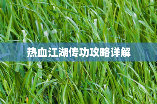 热血江湖传功攻略详解