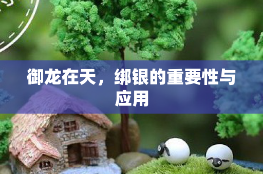 御龙在天，绑银的重要性与应用
