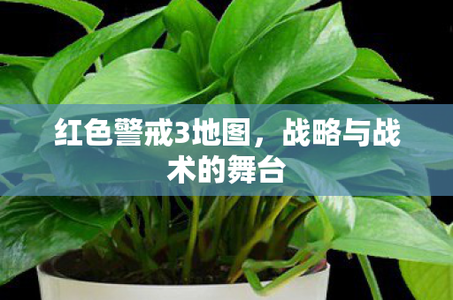 红色警戒3地图，战略与战术的舞台