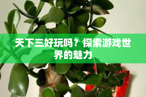 天下三好玩吗？探索游戏世界的魅力