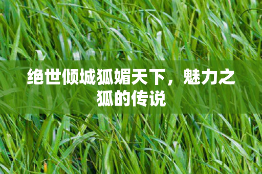 绝世倾城狐媚天下，魅力之狐的传说