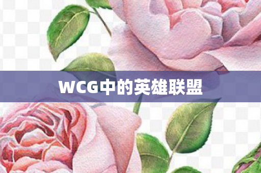 WCG中的英雄联盟