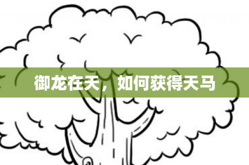 御龙在天，如何获得天马