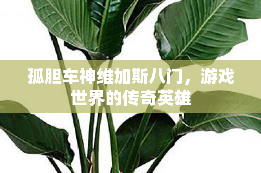 孤胆车神维加斯八门，游戏世界的传奇英雄