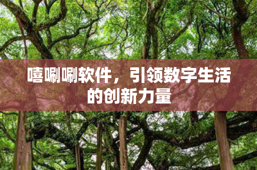 嘻唰唰软件，引领数字生活的创新力量