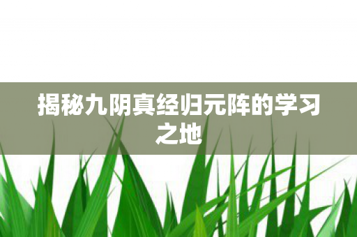 揭秘九阴真经归元阵的学习之地