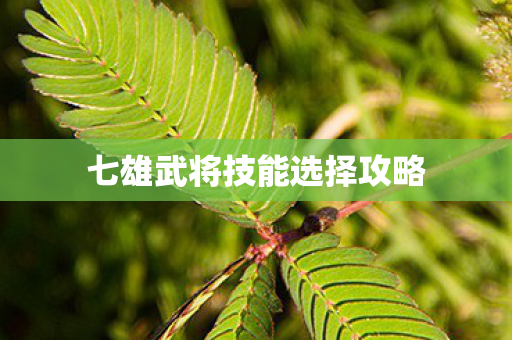 七雄武将技能选择攻略