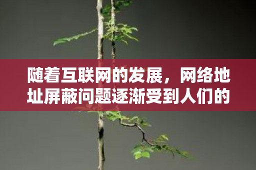 随着互联网的发展，网络地址屏蔽问题逐渐受到人们的关注。在这种情况下，俺去也防屏蔽地址成为了人们关注的焦点。本文将探讨如何有效地防止网络地址被屏蔽，并介绍一些相关的策略
