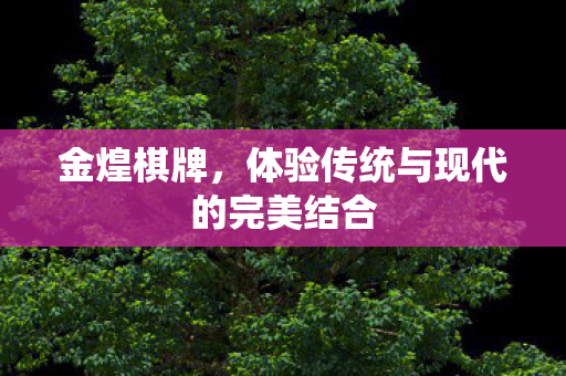 金煌棋牌，体验传统与现代的完美结合