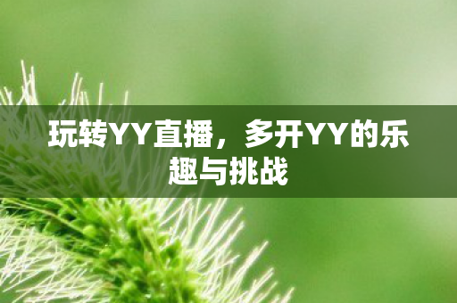 玩转YY直播，多开YY的乐趣与挑战