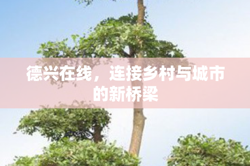 德兴在线，连接乡村与城市的新桥梁