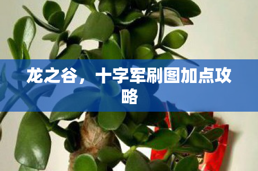 龙之谷，十字军刷图加点攻略