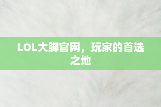 LOL大脚官网，玩家的首选之地
