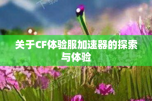 关于CF体验服加速器的探索与体验