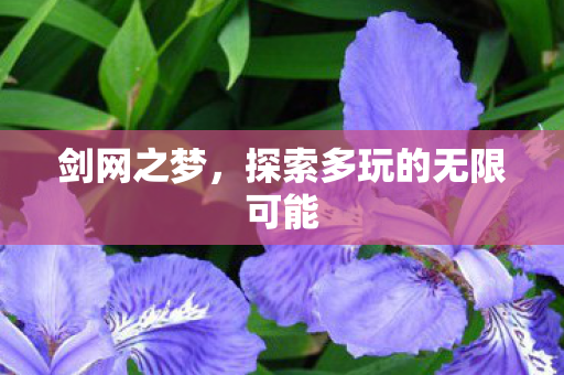 剑网之梦，探索多玩的无限可能