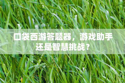 口袋西游答题器，游戏助手还是智慧挑战？