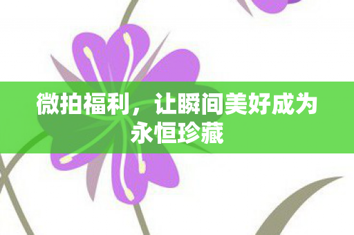 微拍福利，让瞬间美好成为永恒珍藏