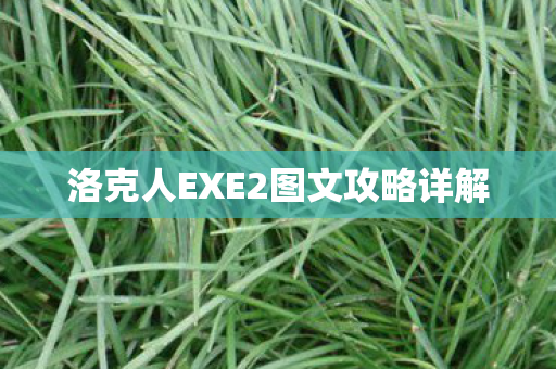 洛克人EXE2图文攻略详解