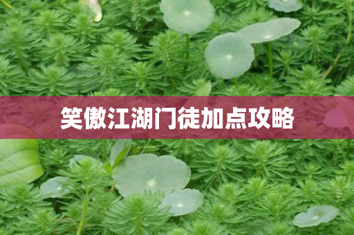 笑傲江湖门徒加点攻略