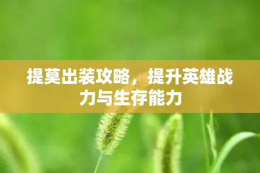 提莫出装攻略，提升英雄战力与生存能力