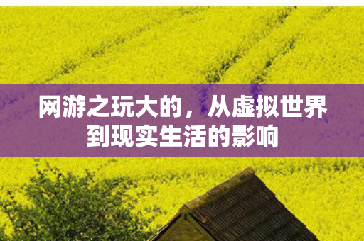 网游之玩大的，从虚拟世界到现实生活的影响