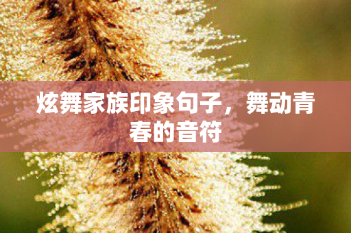 炫舞家族印象句子，舞动青春的音符