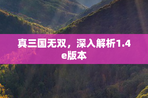 真三国无双，深入解析1.4e版本