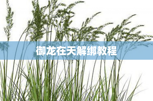 御龙在天解绑教程