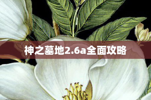 神之墓地2.6a全面攻略