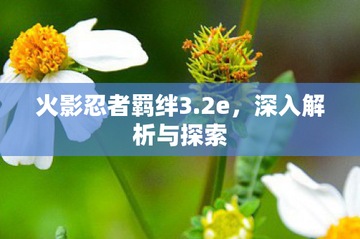 火影忍者羁绊3.2e，深入解析与探索