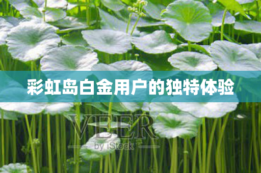 彩虹岛白金用户的独特体验