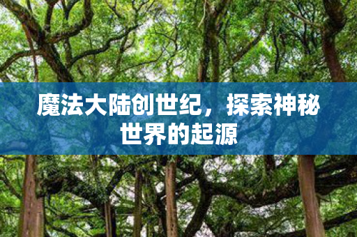 魔法大陆创世纪，探索神秘世界的起源