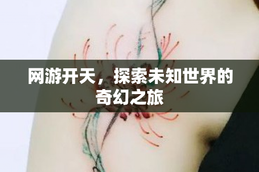 网游开天，探索未知世界的奇幻之旅