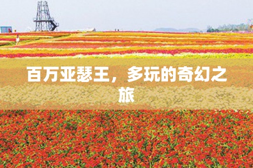 百万亚瑟王，多玩的奇幻之旅