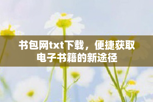 书包网txt下载，便捷获取电子书籍的新途径