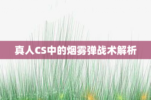真人CS中的烟雾弹战术解析