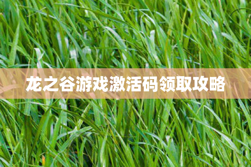 龙之谷游戏激活码领取攻略