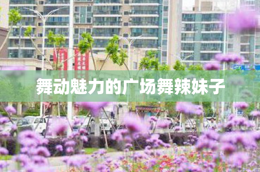 舞动魅力的广场舞辣妹子