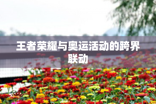 王者荣耀与奥运活动的跨界联动